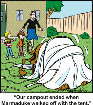 marmaduke